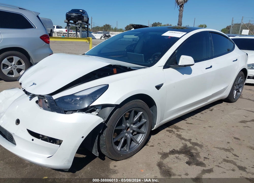 2022 TESLA MODEL 3 REAR-WHEEL DRIVE VIN: 5YJ3E1EA3NF101225