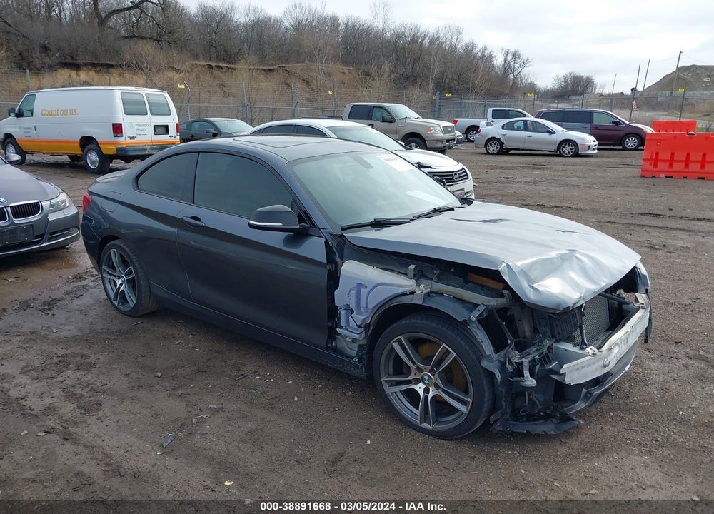 2014 BMW 228I VIN: WBA1F5C58EVV99678