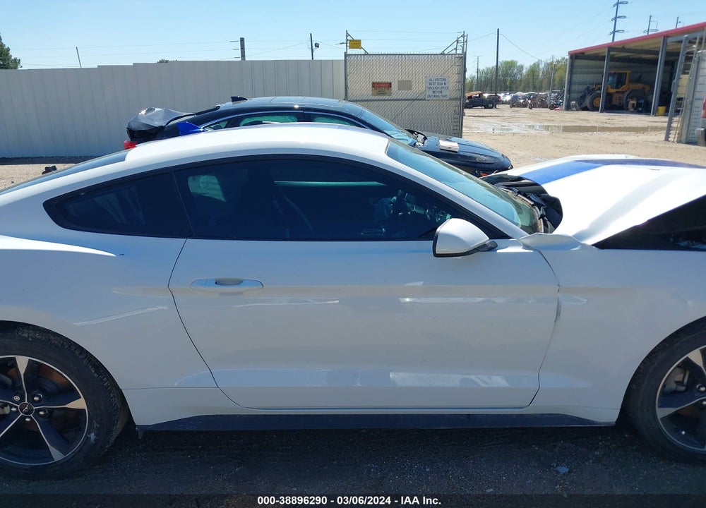 2021 FORD MUSTANG ECOBOOST FASTBACK VIN: 1FA6P8TH7M5137442