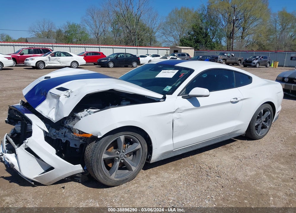 2021 FORD MUSTANG ECOBOOST FASTBACK VIN: 1FA6P8TH7M5137442
