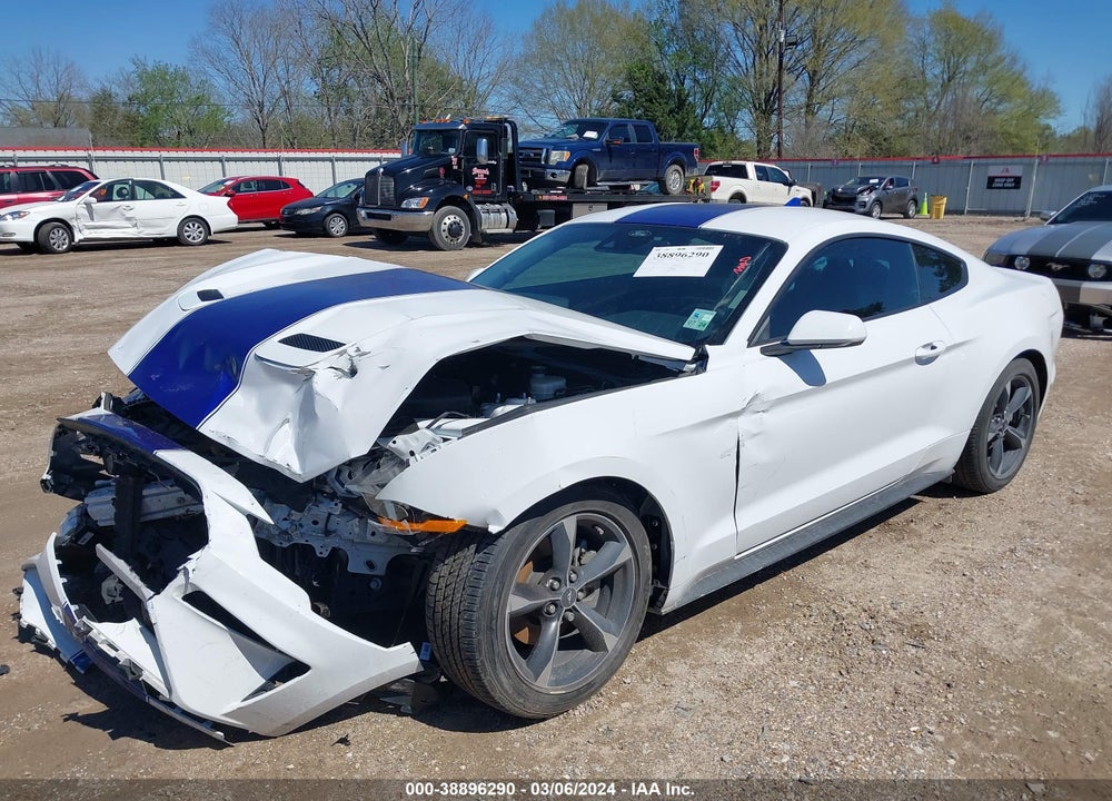 2021 FORD MUSTANG ECOBOOST FASTBACK VIN: 1FA6P8TH7M5137442