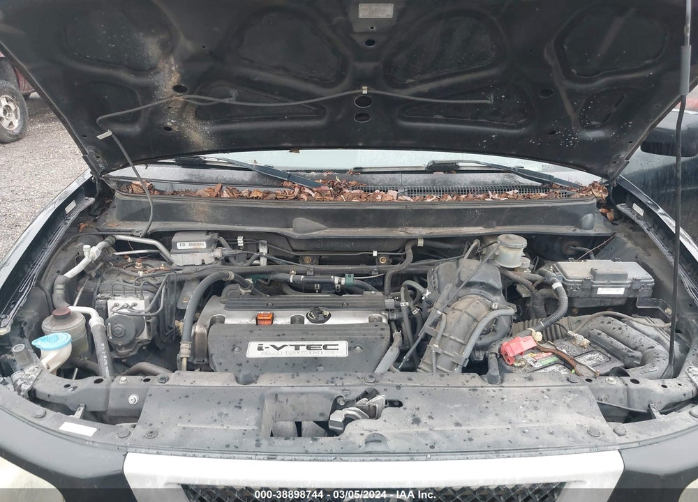2006 HONDA ELEMENT EX VIN: 5J6YH176X6L000486