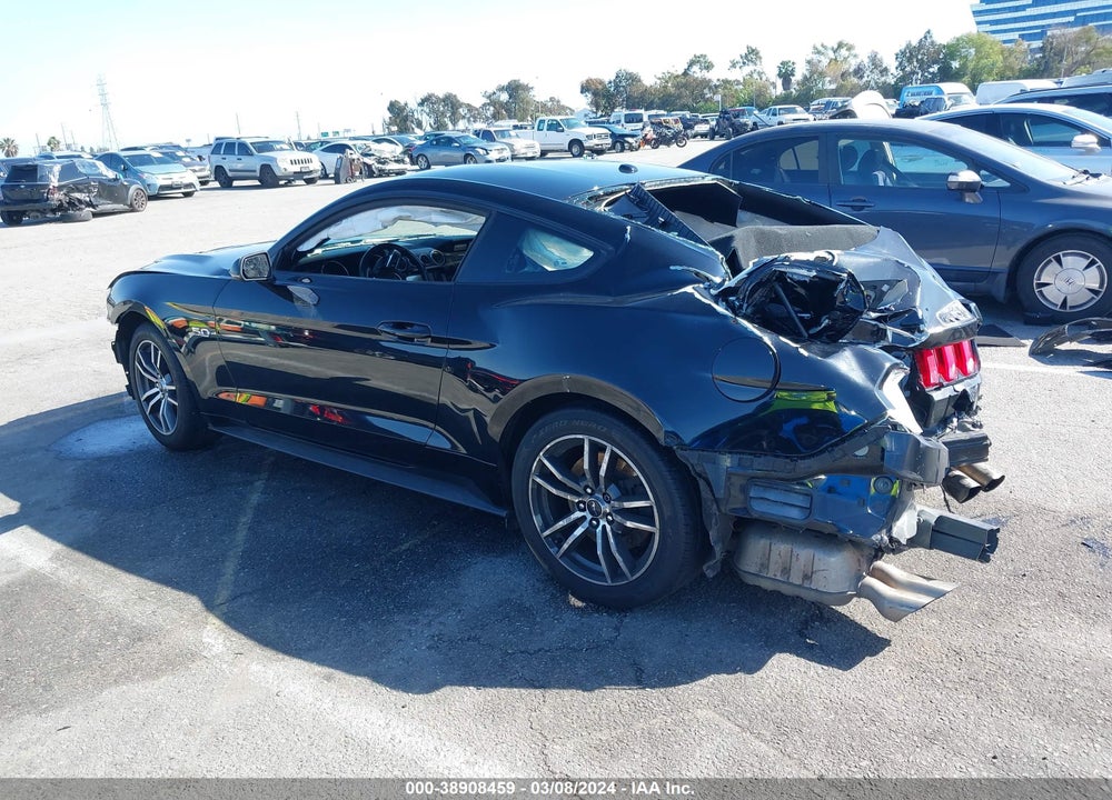 2019 FORD MUSTANG GT PREMIUM VIN: 1FA6P8CF2K5169159