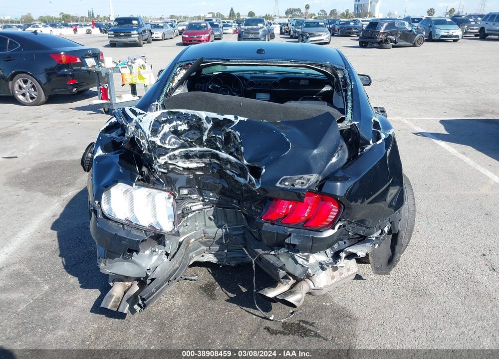 2019 FORD MUSTANG GT PREMIUM VIN: 1FA6P8CF2K5169159