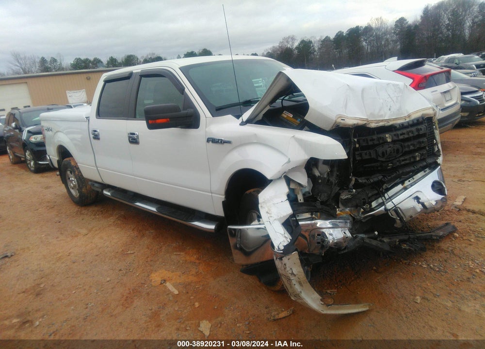 2009 FORD F-150 FX4/KING RANCH/LARIAT/PLATINUM/XL/XLT VIN: 1FTPW14V49FB21908