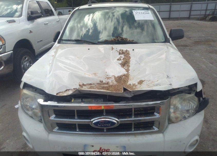 2011 FORD ESCAPE XLT VIN: 1FMCU0D73BKC30949