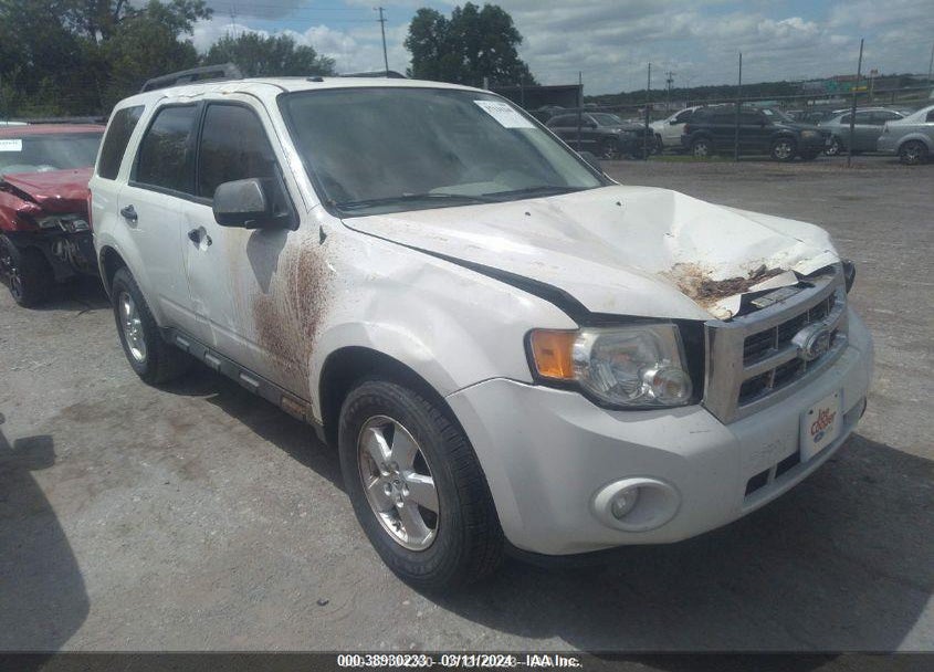 2011 FORD ESCAPE XLT VIN: 1FMCU0D73BKC30949