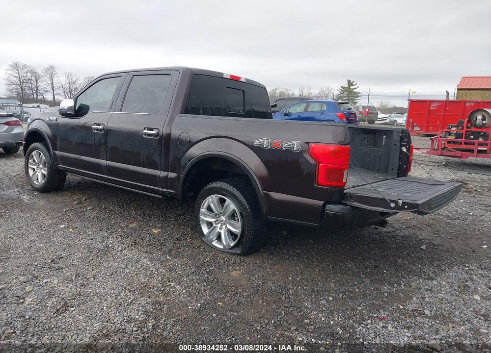 2020 FORD F-150 PLATINUM VIN: 1FTEW1E42LFA47358
