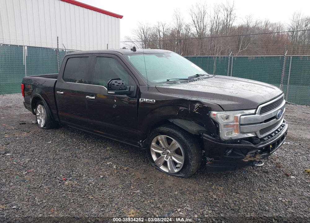 2020 FORD F-150 PLATINUM VIN: 1FTEW1E42LFA47358