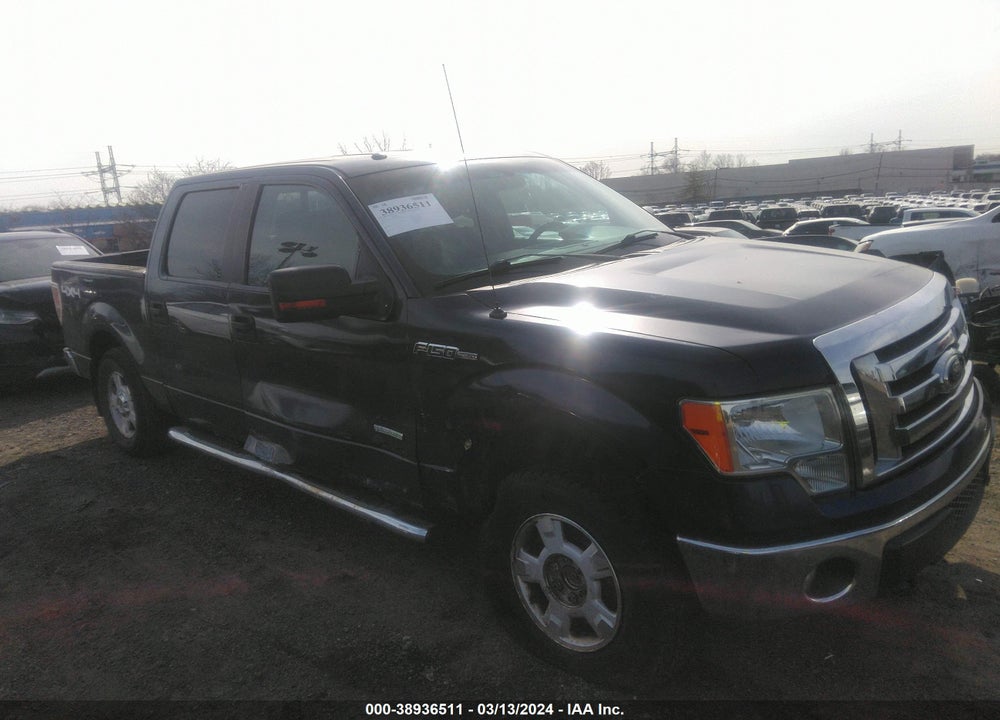 2012 FORD F-150 XLT VIN: 1FTFW1ETXCFB05356