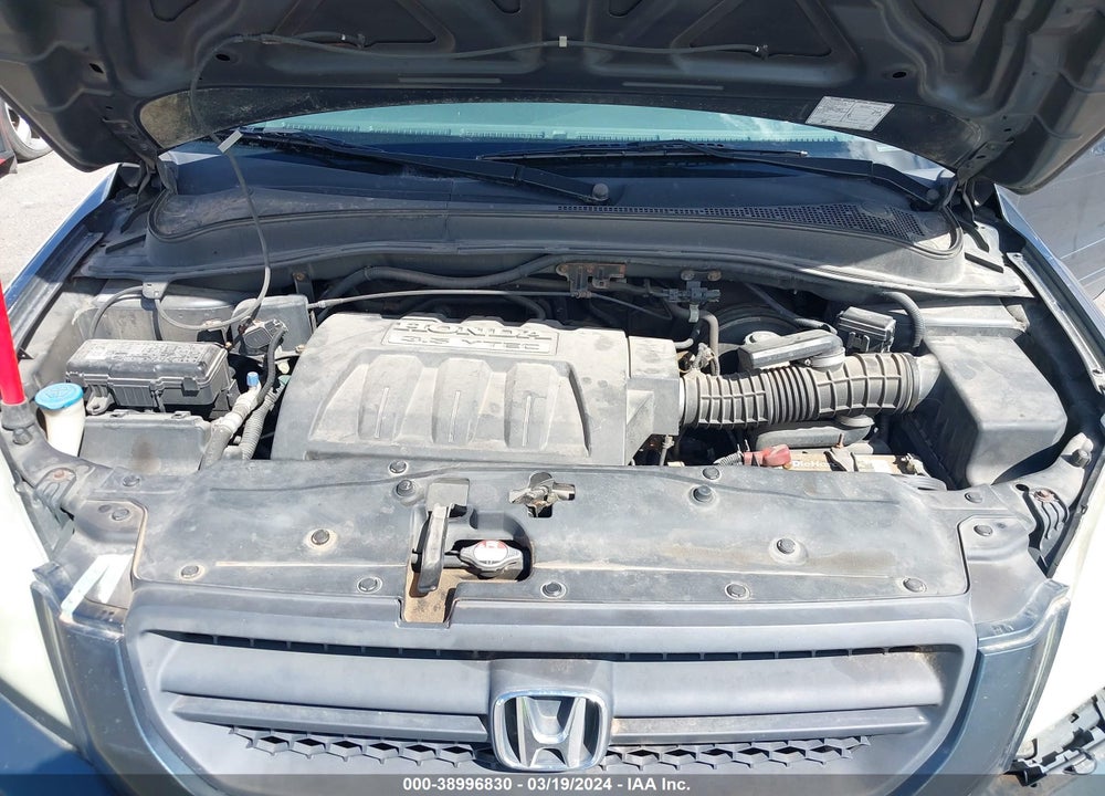 2005 HONDA PILOT VIN: 5FNYF18575B005146