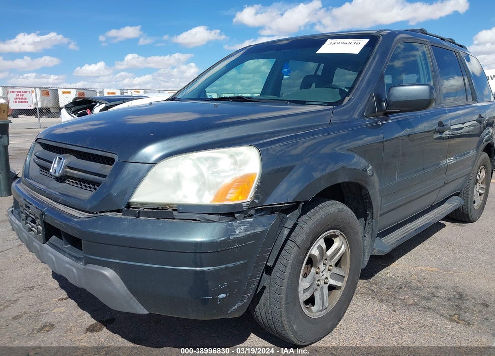 2005 HONDA PILOT VIN: 5FNYF18575B005146