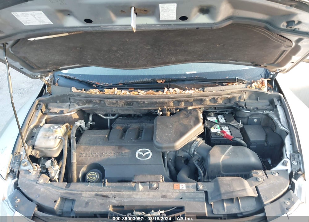 2010 MAZDA CX-9 SPORT VIN: JM3TB3MA2A0235777