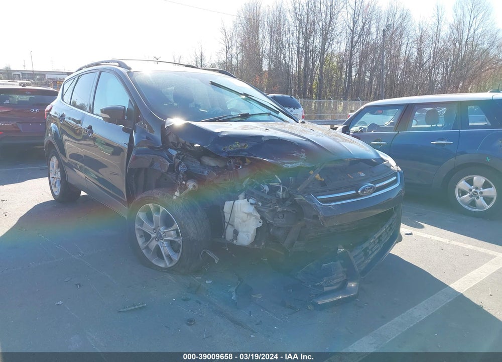 2013 FORD ESCAPE SEL VIN: 1FMCU0HXXDUC75520