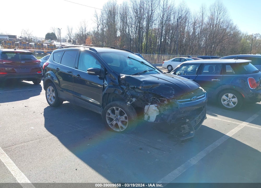 2013 FORD ESCAPE SEL VIN: 1FMCU0HXXDUC75520