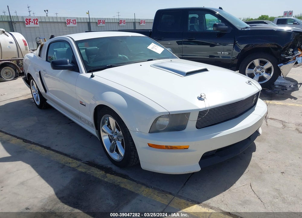 2007 FORD MUSTANG GT DELUXE/GT PREMIUM VIN: 1ZVHT82H075337175