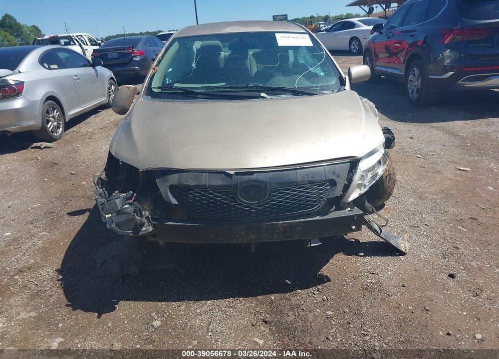 2010 TOYOTA COROLLA LE VIN: 2T1BU4EE4AC497442