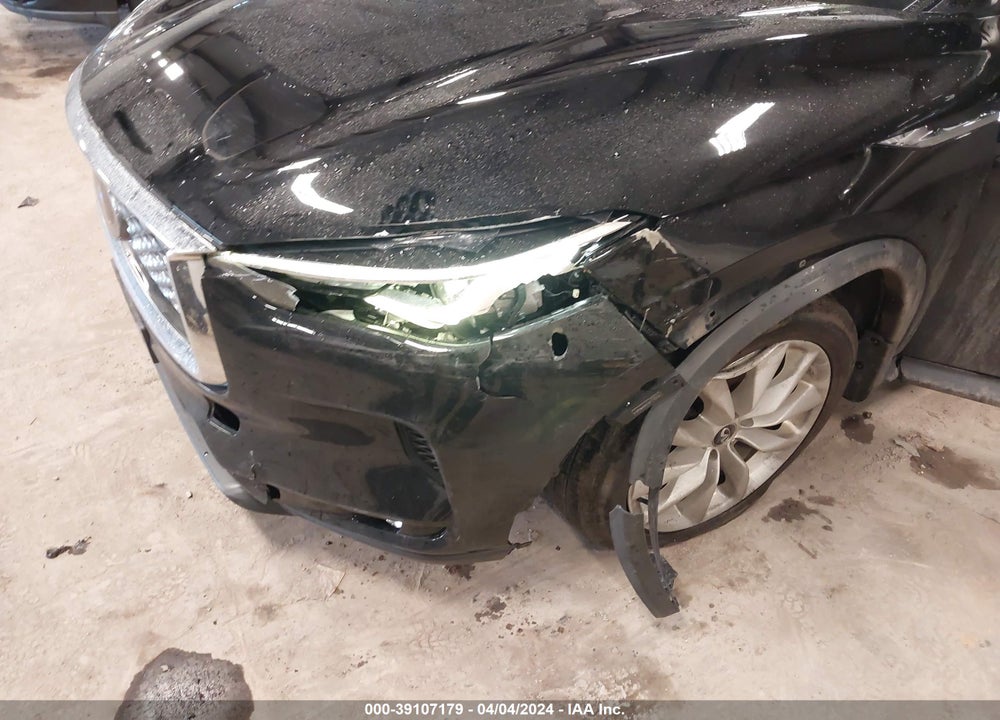 2019 INFINITI QX50 LUXE VIN: 3PCAJ5M37KF115556