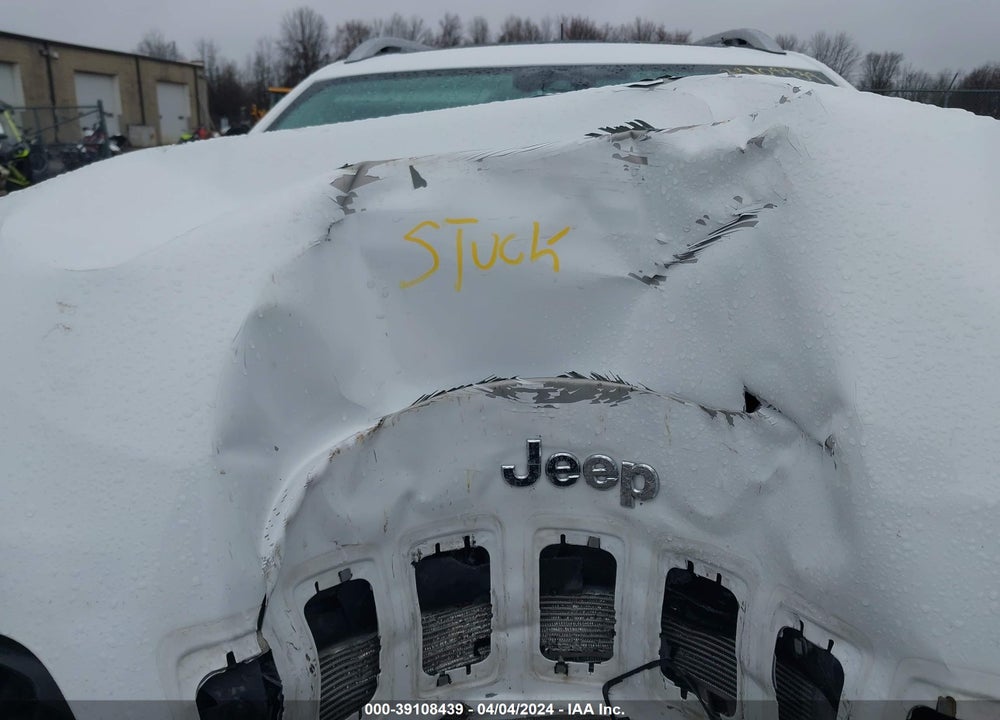 2021 JEEP CHEROKEE LIMITED 4X4 VIN: 1C4PJMDXXMD160847