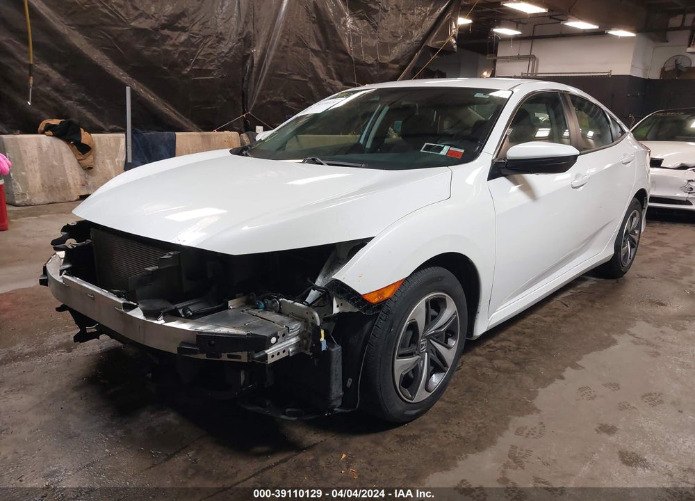 2021 HONDA CIVIC LX VIN: 2HGFC2F65MH555411