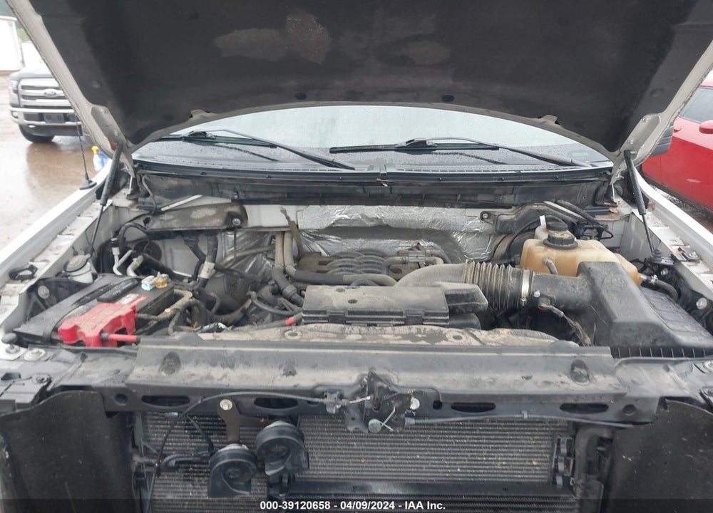 2011 FORD F-150 XL VIN: 1FTFW1EF8BFB71977