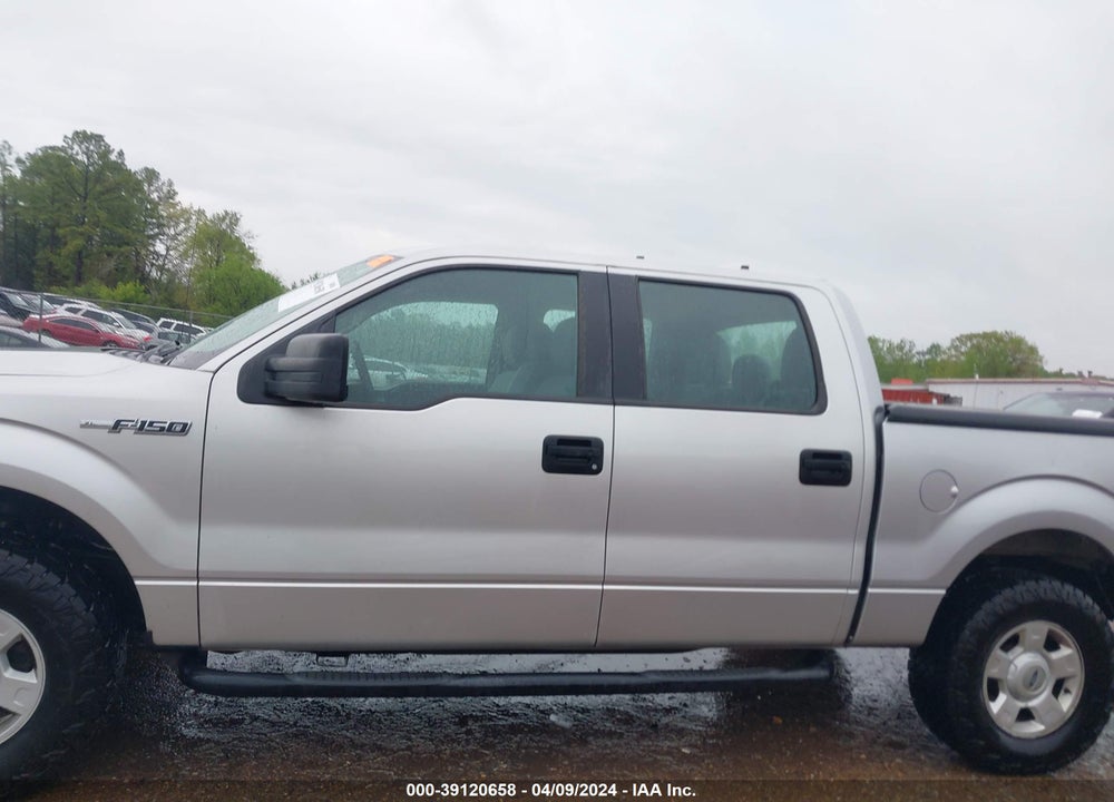 2011 FORD F-150 XL VIN: 1FTFW1EF8BFB71977