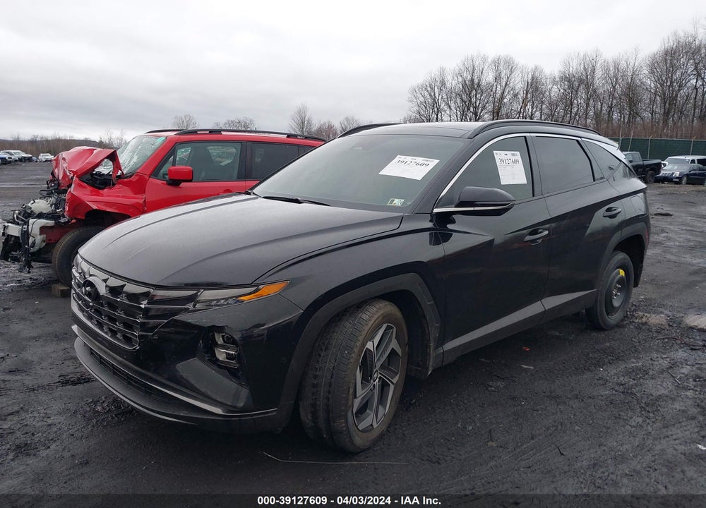 2024 HYUNDAI TUCSON LIMITED VIN: 5NMJECDE9RH335560