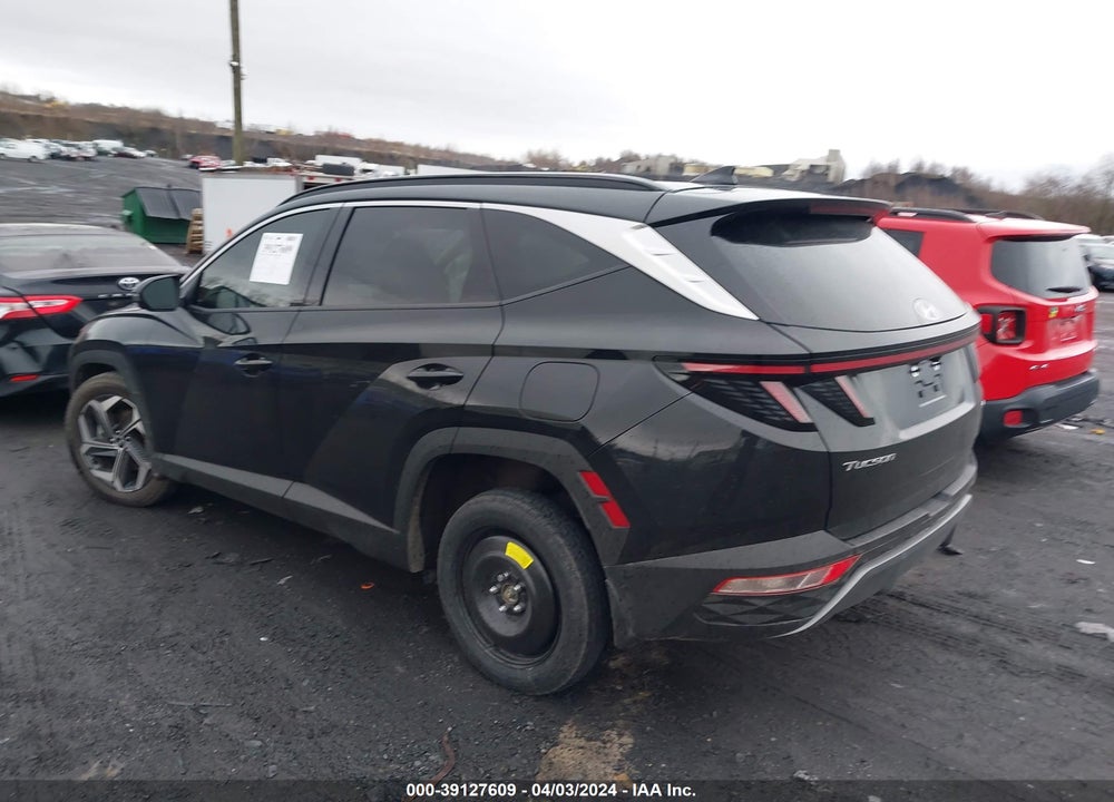 2024 HYUNDAI TUCSON LIMITED VIN: 5NMJECDE9RH335560