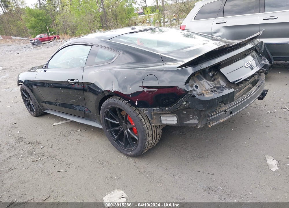 2019 FORD MUSTANG GT VIN: 1FA6P8CF5K5117251