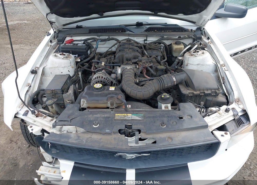 2008 FORD MUSTANG V6 DELUXE/V6 PREMIUM VIN: 1ZVHT80N685192167