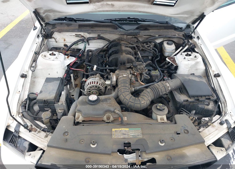 2006 FORD MUSTANG V6 VIN: 1ZVFT80N265141883