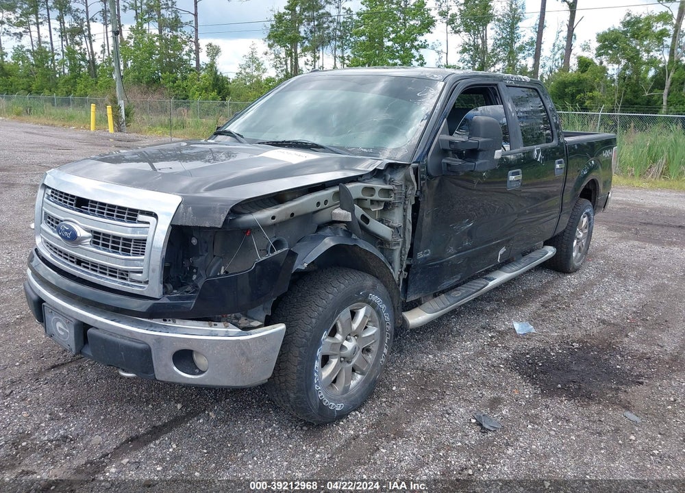 2014 FORD F-150 XLT VIN: 1FTFW1EF9EFA41677