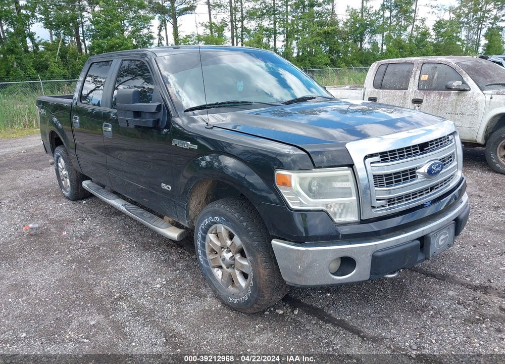 2014 FORD F-150 XLT VIN: 1FTFW1EF9EFA41677