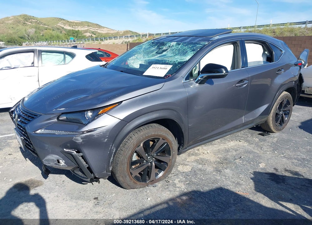 2020 LEXUS NX 300 VIN: JTJGARBZ5L2169531
