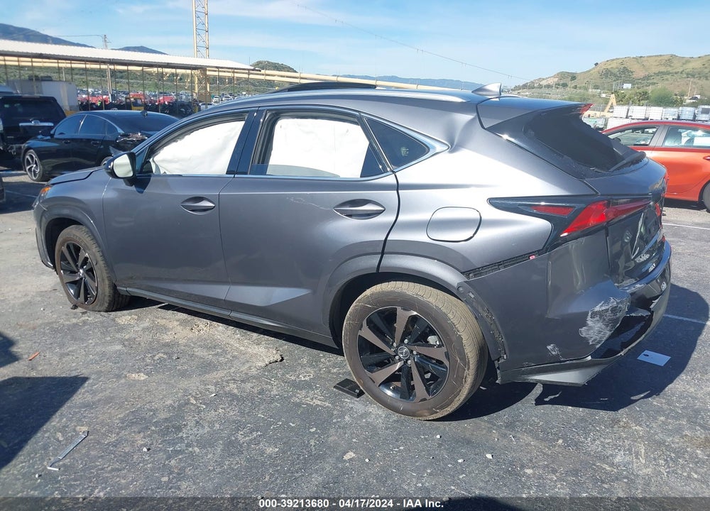 2020 LEXUS NX 300 VIN: JTJGARBZ5L2169531