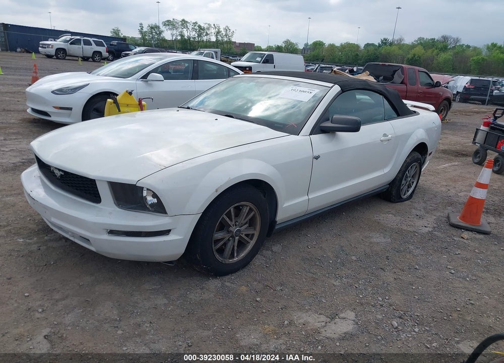 2005 FORD MUSTANG VIN: 1ZVFT84N555189452