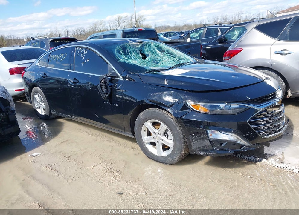 2019 CHEVROLET MALIBU 1LS VIN: 1G1ZB5ST9KF105313