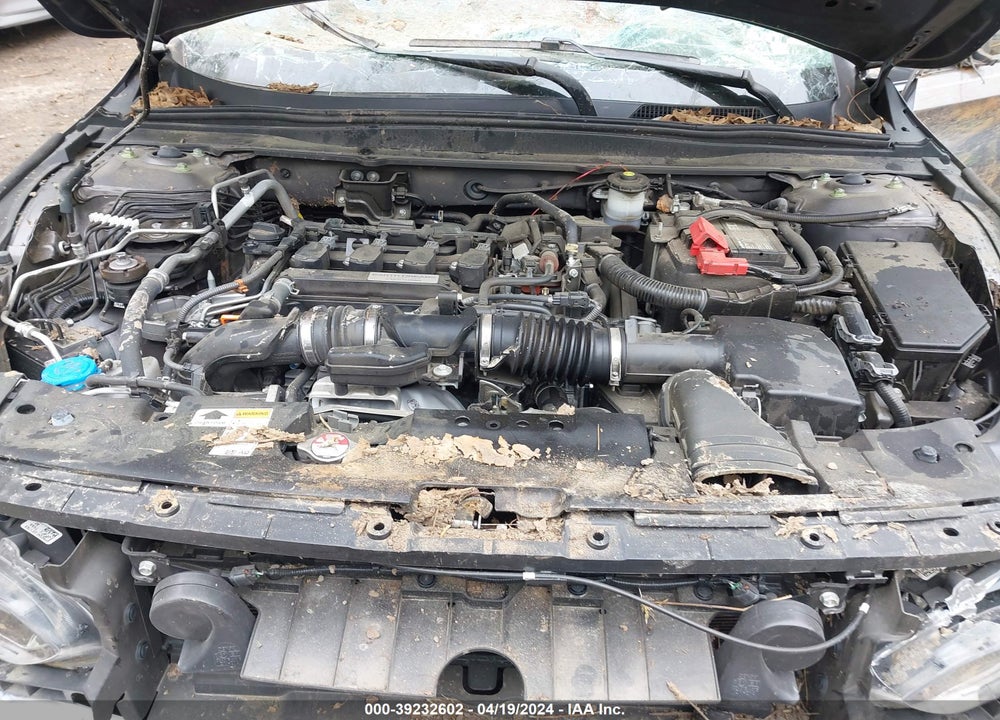 2019 HONDA ACCORD LX VIN: 1HGCV1F12KA108073