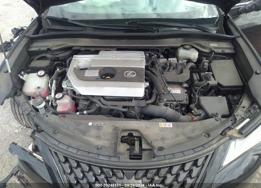 2019 LEXUS UX 250H VIN: JTHU9JBH9K2010936