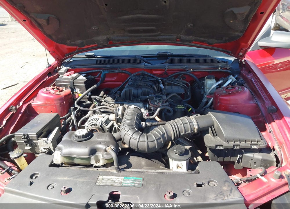2009 FORD MUSTANG V6/V6 PREMIUM VIN: 1ZVHT80N895141562