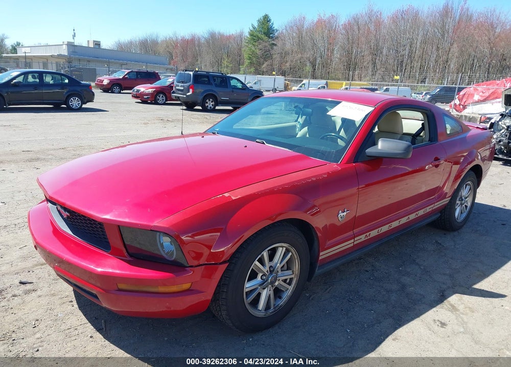 2009 FORD MUSTANG V6/V6 PREMIUM VIN: 1ZVHT80N895141562