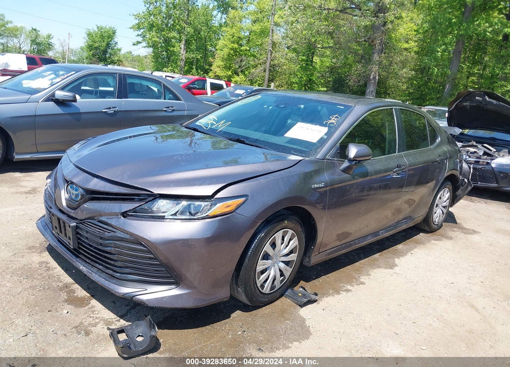 2019 TOYOTA CAMRY VIN: 4T1B31HK2KU007812