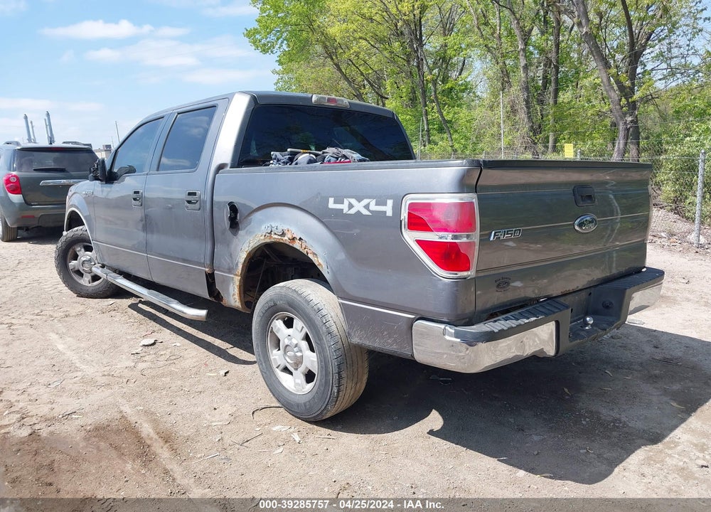 2010 FORD F-150 XL/XLT VIN: 1FTEW1E86AFA72280