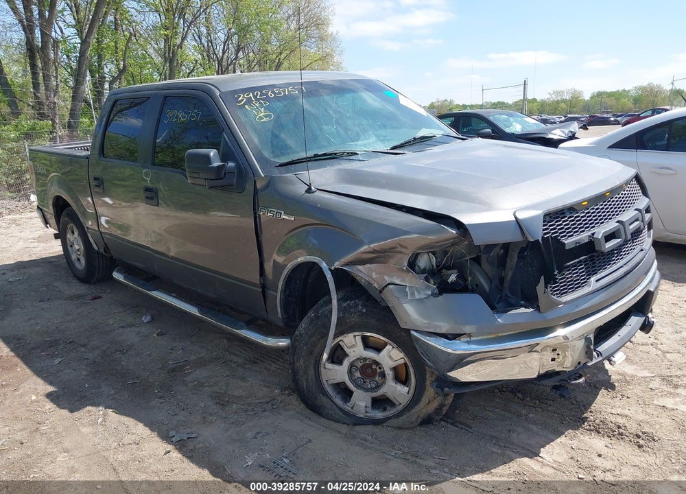 2010 FORD F-150 XL/XLT VIN: 1FTEW1E86AFA72280
