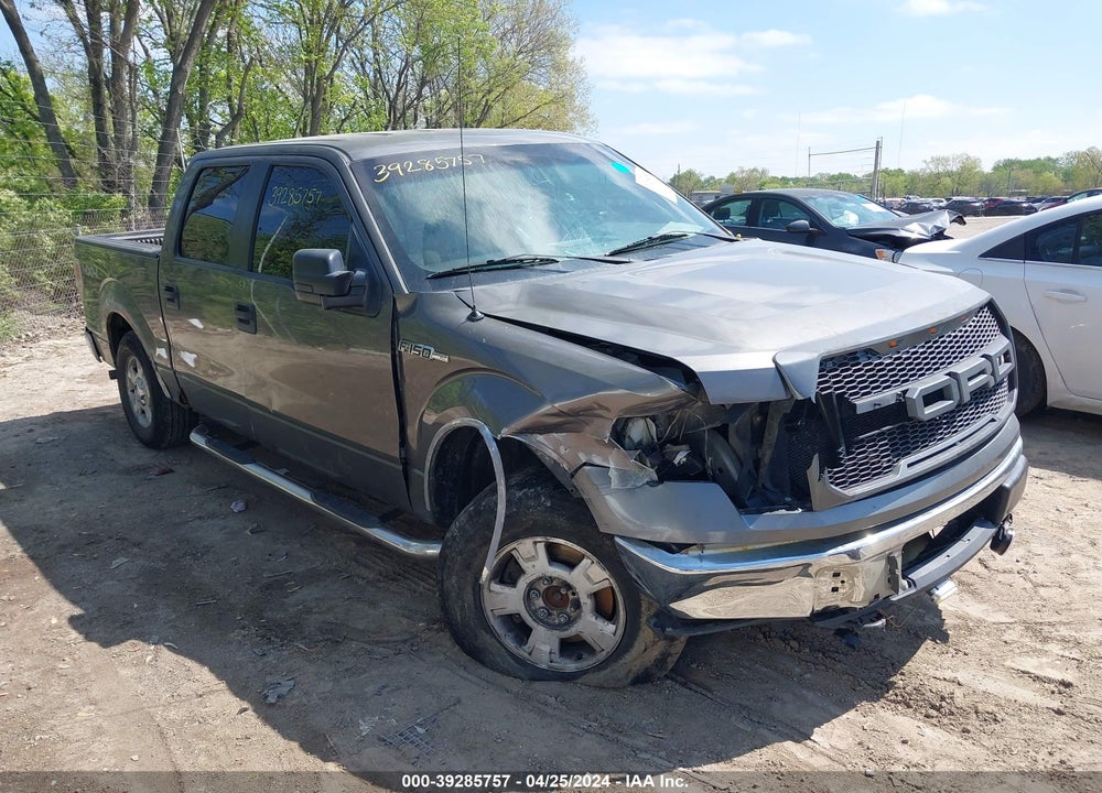 2010 FORD F-150 XL/XLT VIN: 1FTEW1E86AFA72280