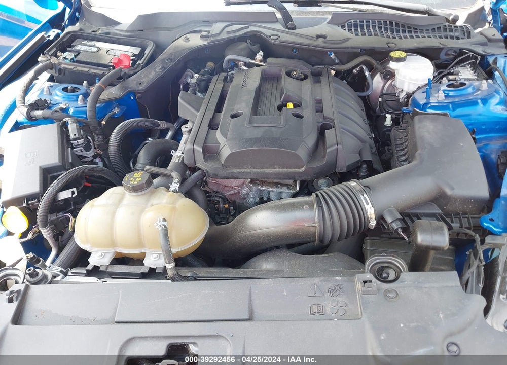 2019 FORD MUSTANG ECOBOOST VIN: 1FA6P8TH3K5124880