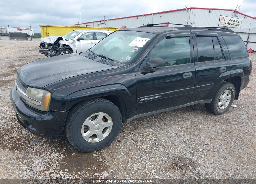 2002 CHEVROLET TRAILBLAZER VIN: 1GNDS13S022216217