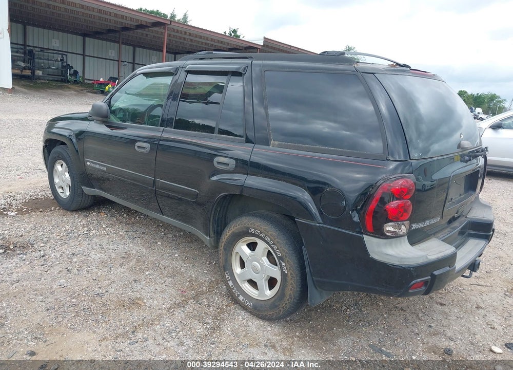 2002 CHEVROLET TRAILBLAZER VIN: 1GNDS13S022216217