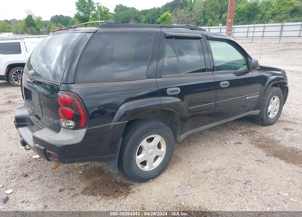 2002 CHEVROLET TRAILBLAZER VIN: 1GNDS13S022216217