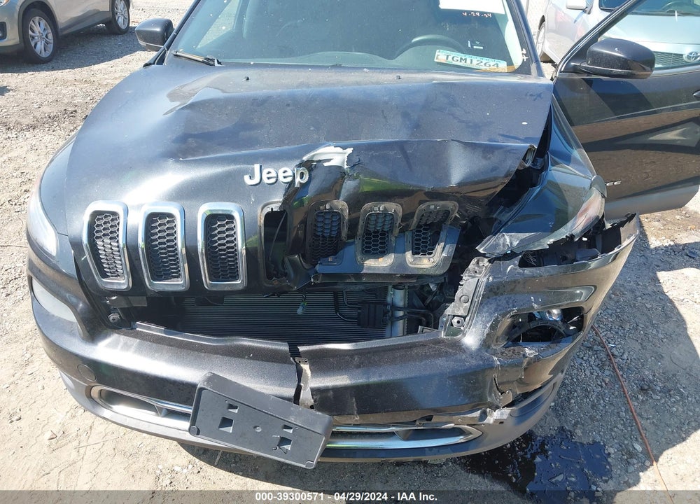 2014 JEEP CHEROKEE LIMITED VIN: 1C4PJMDB9EW303121